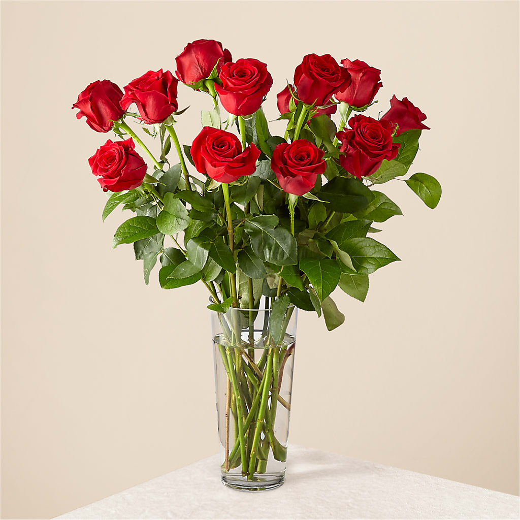 Long Stem Red Rose Bouquet – The Bay Window Llc, Garrettsville OH