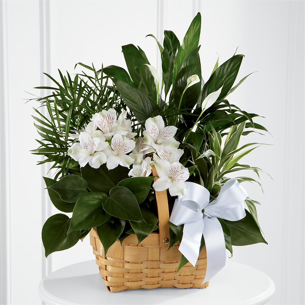 Peace & Serenity Dishgarden – The Bay Window Llc, Garrettsville OH