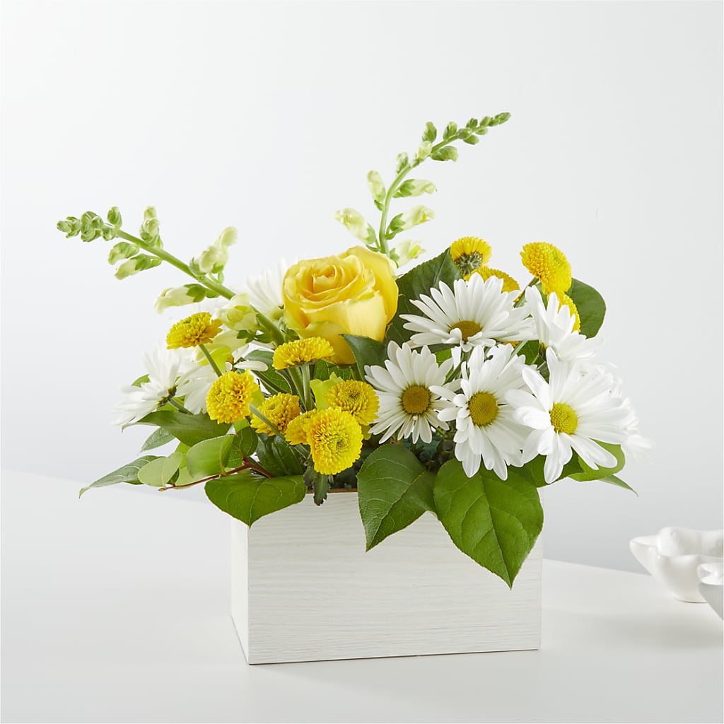 Sun Salutation Box Bouquet – The Bay Window Llc, Garrettsville OH