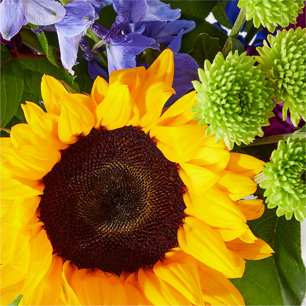 Catching Rays Bouquet – The Bay Window Llc, Garrettsville OH