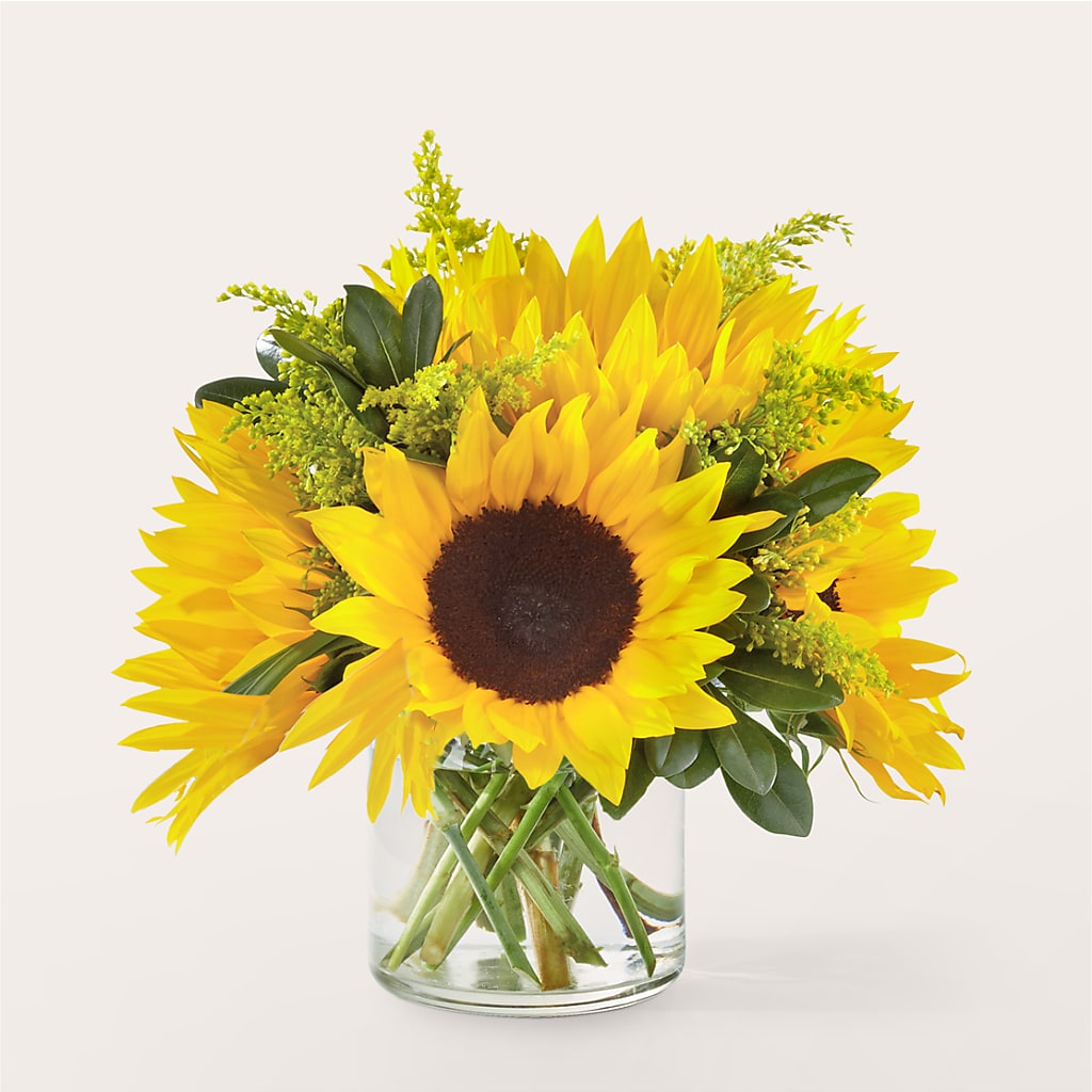 Beaming Sunflower Bouquet – The Bay Window Llc, Garrettsville OH