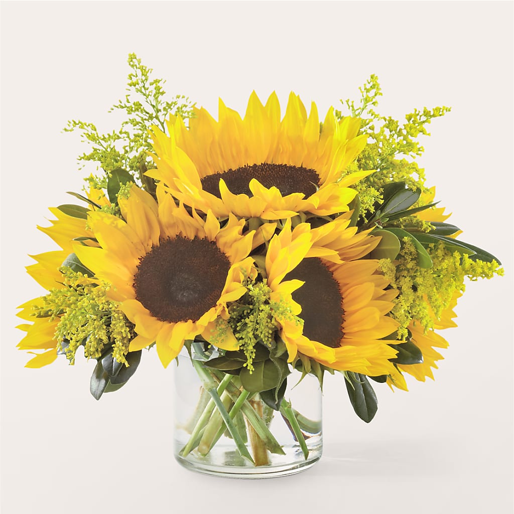 Beaming Sunflower Bouquet – The Bay Window Llc, Garrettsville OH