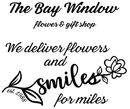 The Bay Window LLC
