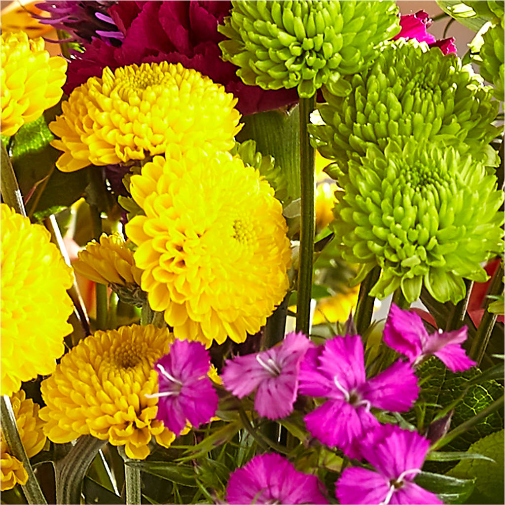 Bold & Bright – A Florist Original –  The Bay Window Llc, Garrettsville OH