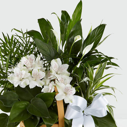 Peace & Serenity Dishgarden –  The Bay Window Llc, Garrettsville OH