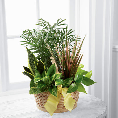 French Garden –  The Bay Window Llc, Garrettsville OH