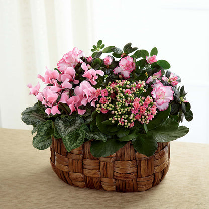 Pink Assortment –  The Bay Window Llc, Garrettsville OH