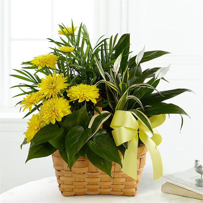Loving Light Dishgarden –  The Bay Window Llc, Garrettsville OH