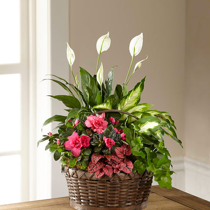 Dream in Pink Dishgarden –  The Bay Window Llc, Garrettsville OH