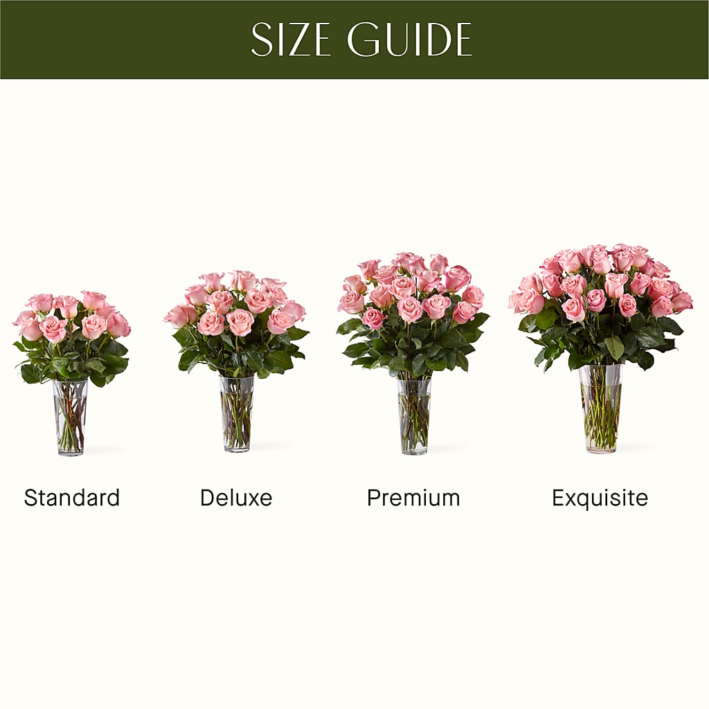Long Stem Pink Rose Bouquet –  The Bay Window Llc, Garrettsville OH