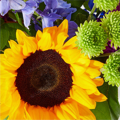 Catching Rays Bouquet –  The Bay Window Llc, Garrettsville OH