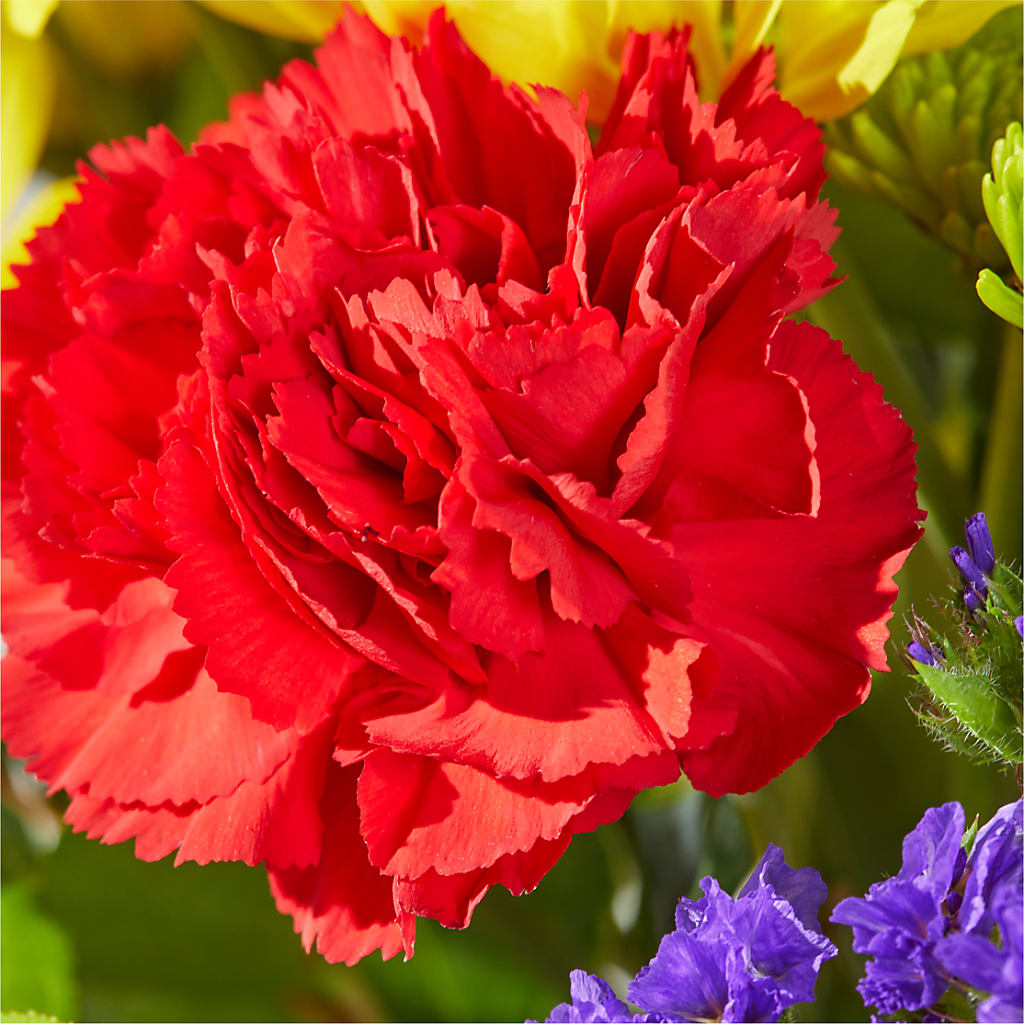 Brighter Days Bouquet –  The Bay Window Llc, Garrettsville OH