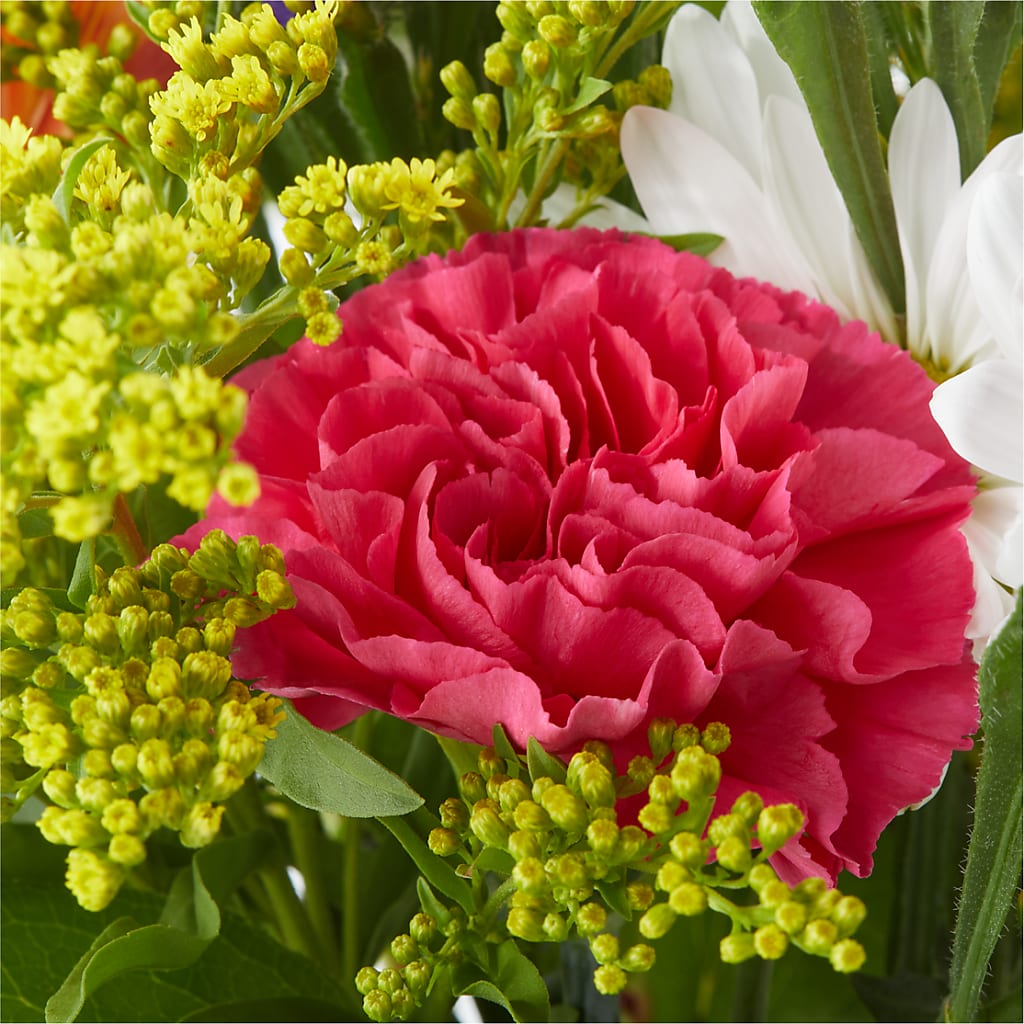 Oopsie Daisy Bouquet –  The Bay Window Llc, Garrettsville OH