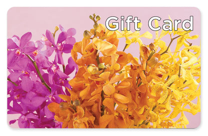 Gift Card –  The Bay Window Llc, Garrettsville OH