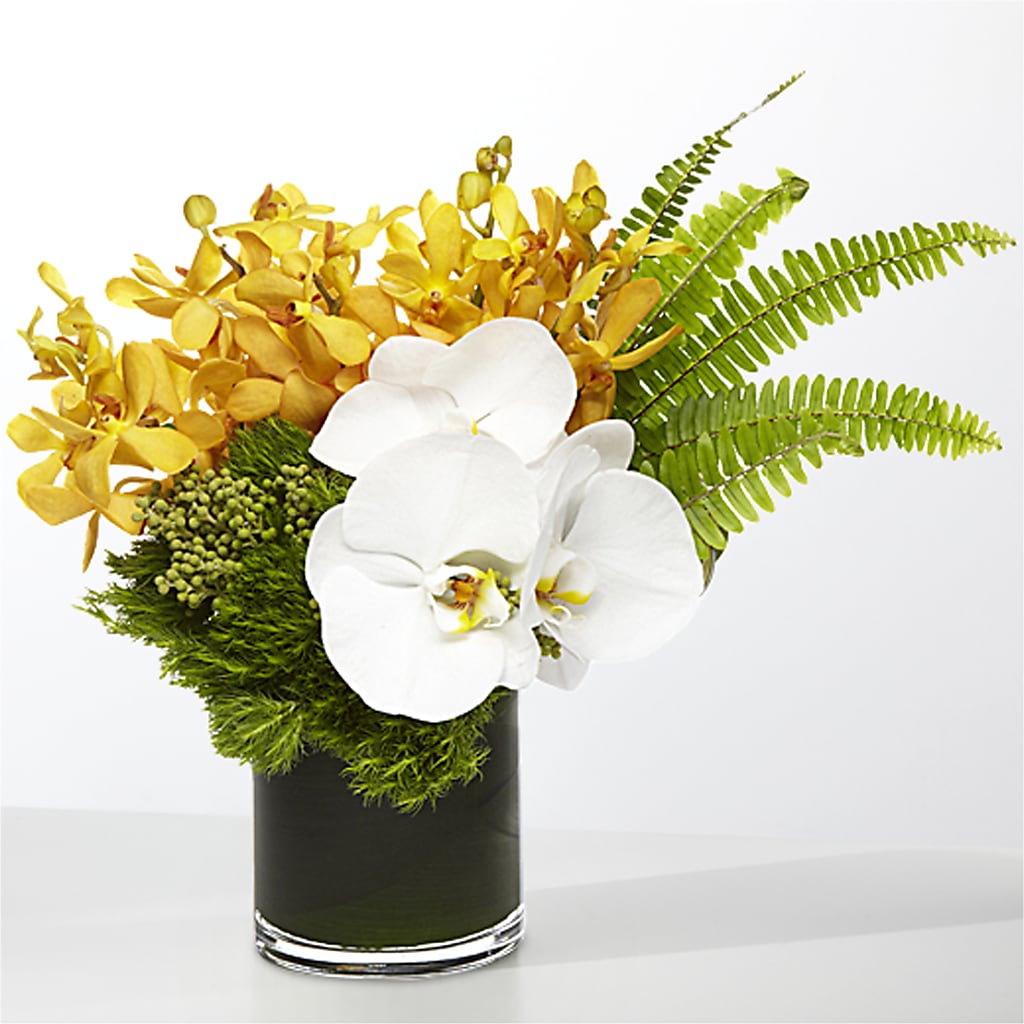 The Tropics –  The Bay Window Llc, Garrettsville OH