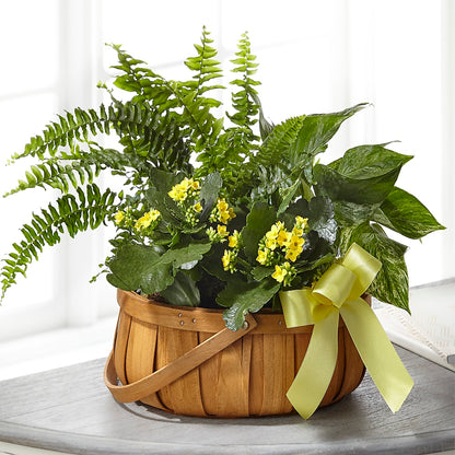 Always Dear Dishgarden –  The Bay Window Llc, Garrettsville OH