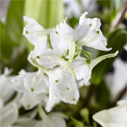 Classic Ivory – A Florist Original –  The Bay Window Llc, Garrettsville OH