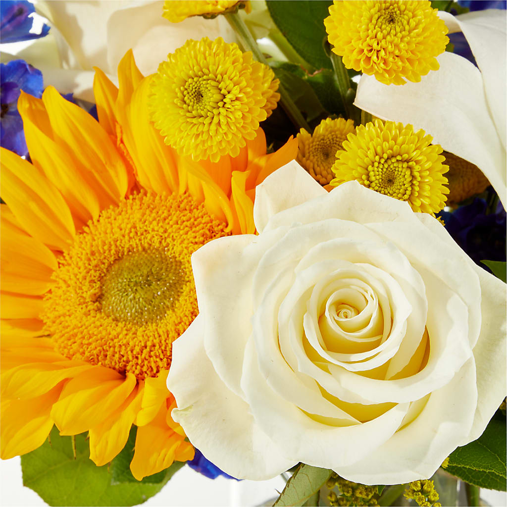Stargazing Bouquet –  The Bay Window Llc, Garrettsville OH