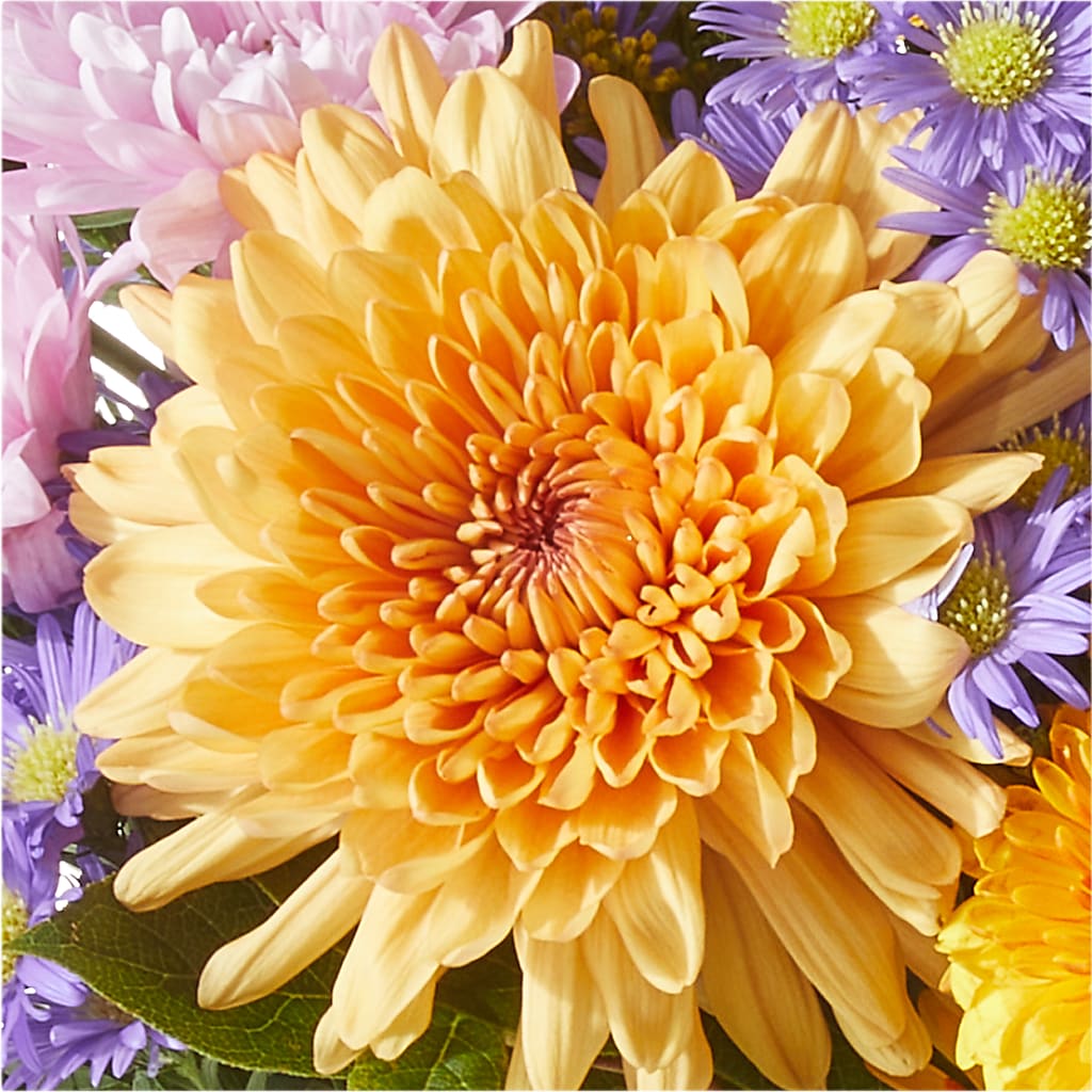Countryside Bouquet –  The Bay Window Llc, Garrettsville OH