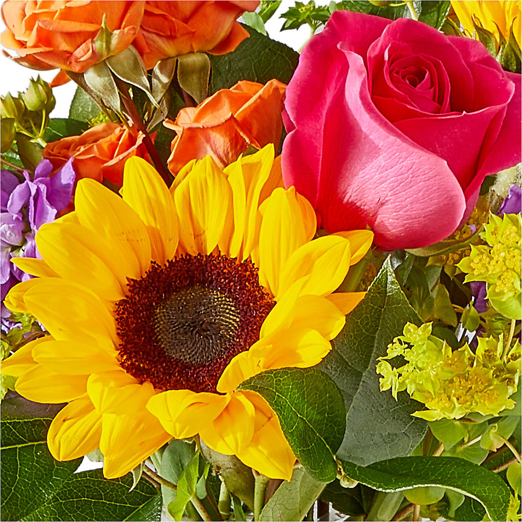 Vibrant Greetings Bouquet –  The Bay Window Llc, Garrettsville OH
