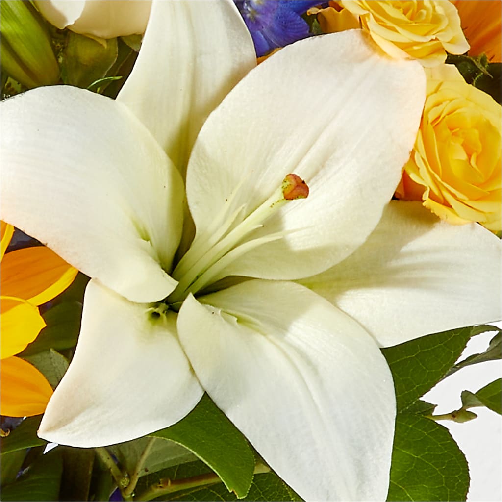 Wonderfully Sunny Bouquet –  The Bay Window Llc, Garrettsville OH