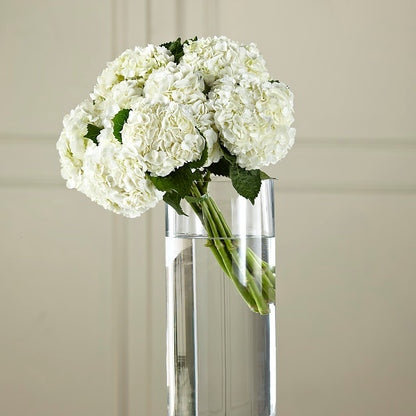 White Hydrangea Hand-Tied Bouquet –  The Bay Window Llc, Garrettsville OH